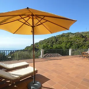 https://neolida.in-canary-islands.com